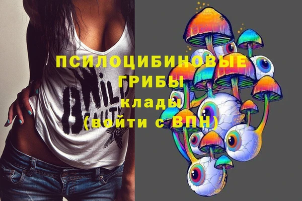 apvp Абаза