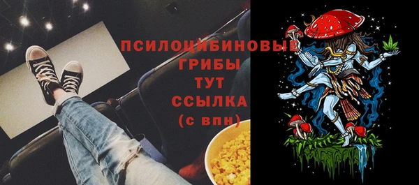 apvp Абаза